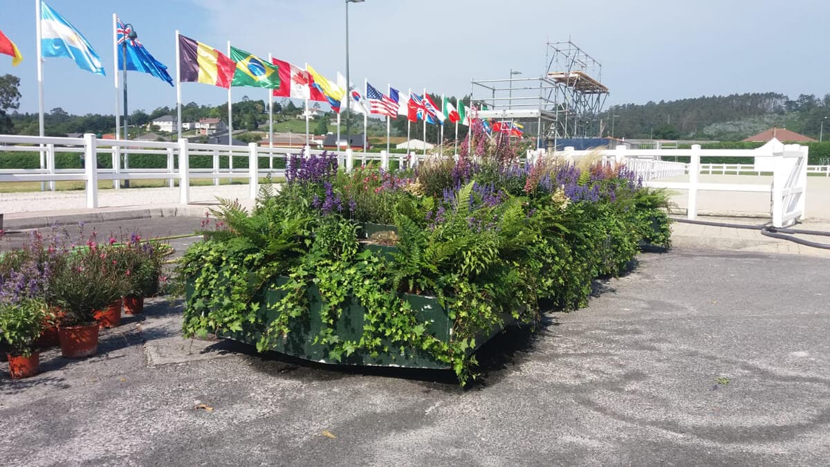 Jardinería Suso en Carballo