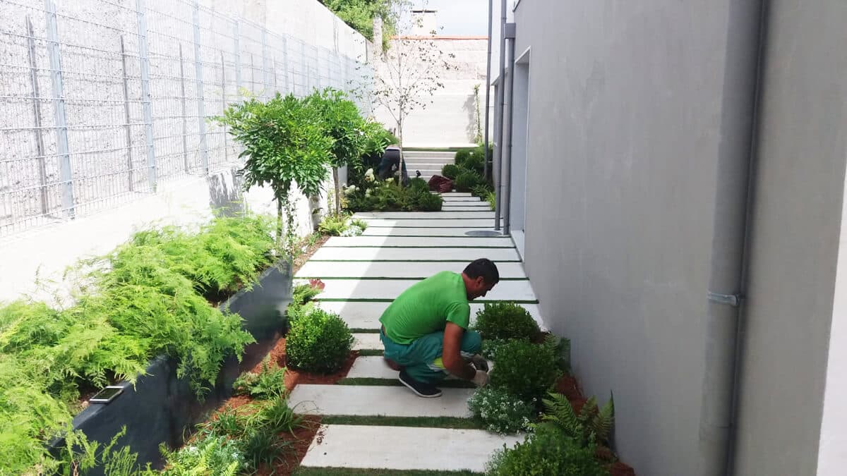 Jardinería Suso en Carballo